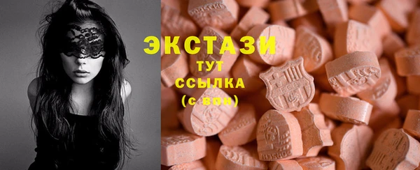 СК Богородицк
