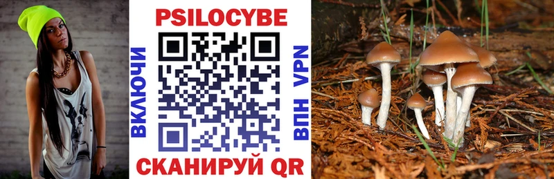 Псилоцибиновые грибы GOLDEN TEACHER  Конаково 